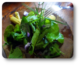 salade plantes sauvages comestibles